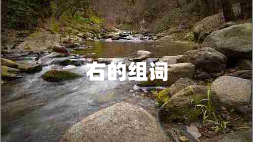 右的組詞