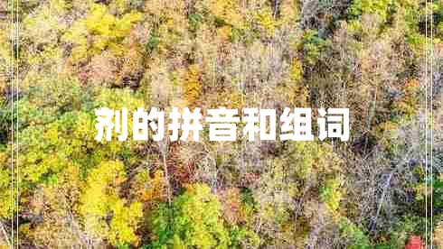 劑的拼音和組詞