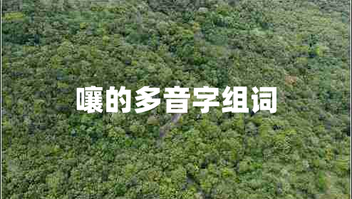 嚷的多音字組詞