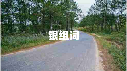 銀組詞 銀組詞