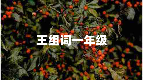王組詞一年級