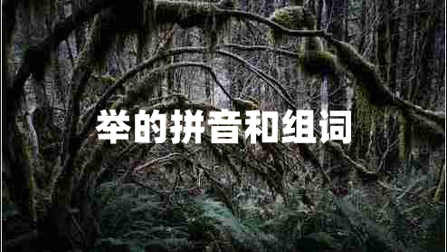 舉的拼音和組詞