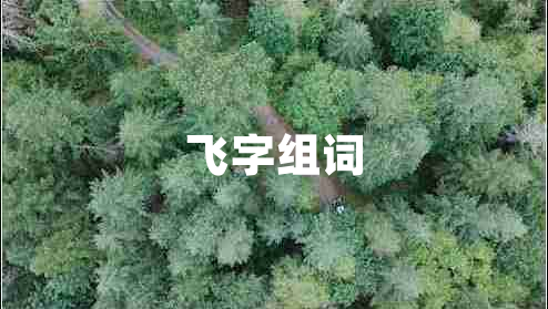 飛字組詞