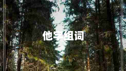他字組詞