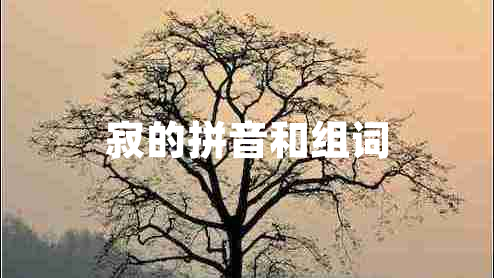 寂的拼音和組詞