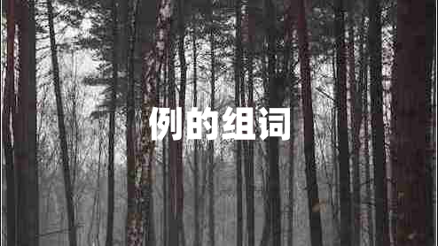 例的組詞