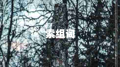 索組詞