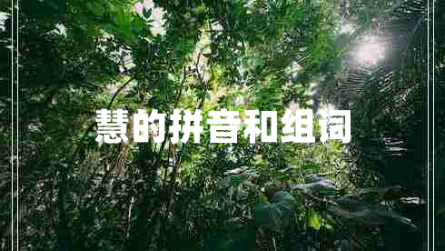 慧的拼音和組詞