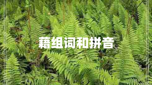藉組詞和拼音
