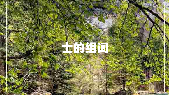士的組詞