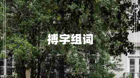 搏字組詞