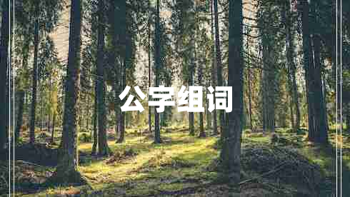 公字組詞 公字組詞