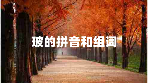 玻的拼音和組詞 玻的拼音和組詞