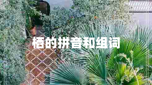 棲的拼音和組詞