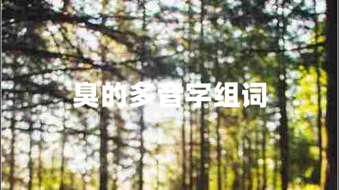 臭的多音字組詞 臭的多音字組詞