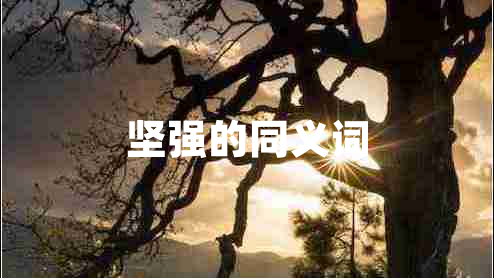堅(jiān)強(qiáng)的同義詞