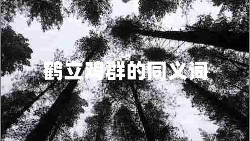 鶴立雞群的同義詞
