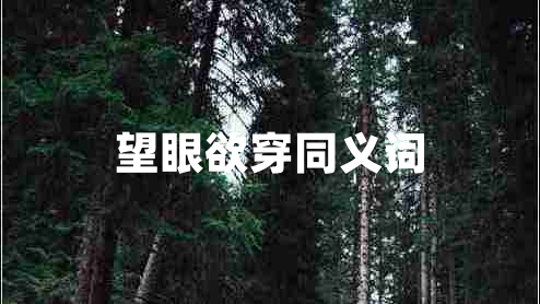 望眼欲穿同義詞