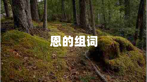 恩的組詞 恩的組詞