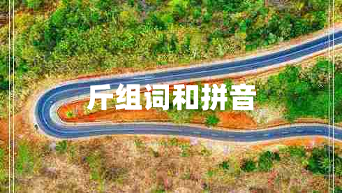 斤組詞和拼音 斤組詞和拼音
