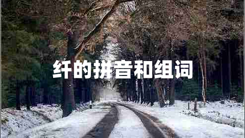 纖的拼音和組詞