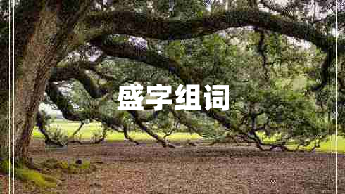 盛字組詞 盛字組詞