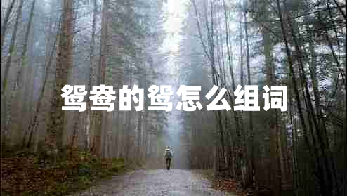 鴛鴦的鴛怎么組詞