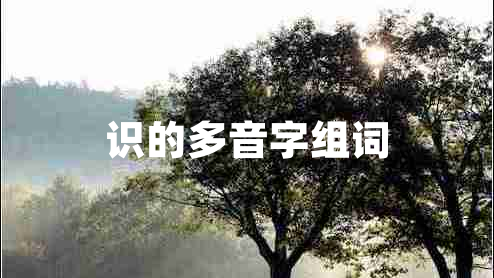 識的多音字組詞