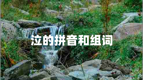 泣的拼音和組詞