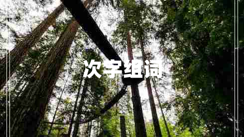 次字組詞