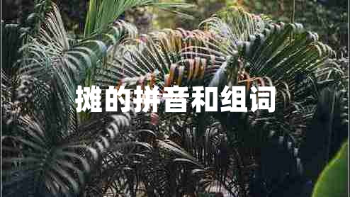 攤的拼音和組詞