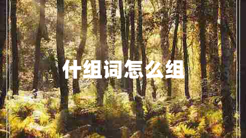 什組詞怎么組