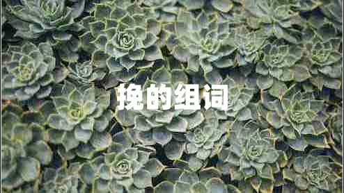 挽的組詞