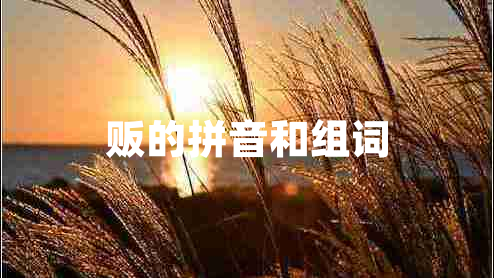 販的拼音和組詞