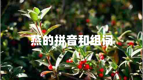 燕的拼音和組詞