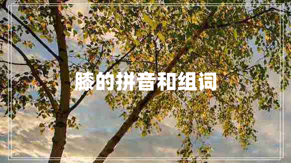 膝的拼音和組詞