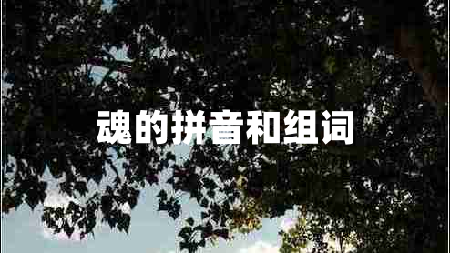 魂的拼音和組詞