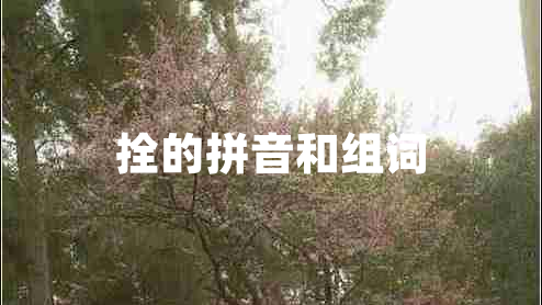 拴的拼音和組詞 拴的拼音和組詞