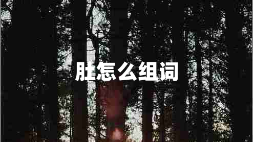 肚怎么組詞