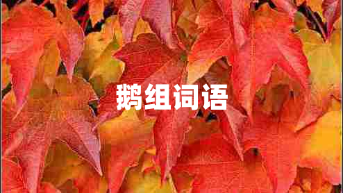 鵝組詞語(yǔ)