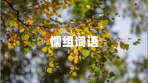 懦組詞語(yǔ)