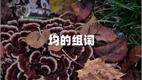 均的組詞 均的組詞