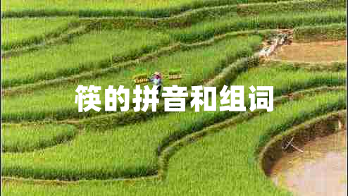 筷的拼音和組詞