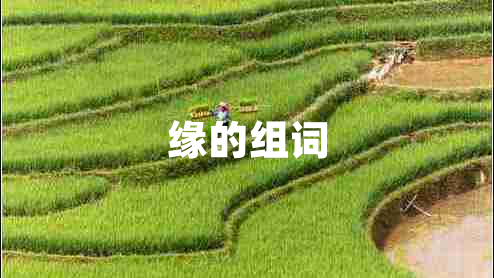 緣的組詞 緣的組詞