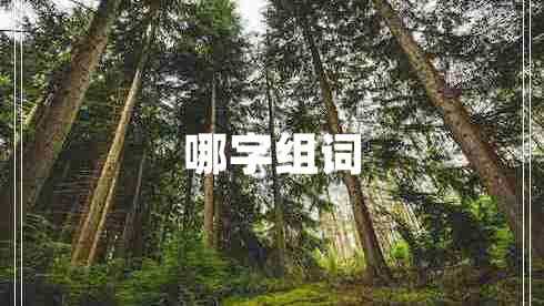 哪字組詞