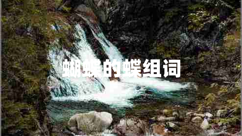 蝴蝶的蝶組詞