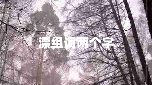 漂組詞兩個字