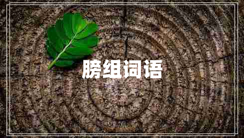 膀組詞語(yǔ)