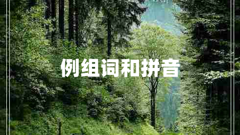 例組詞和拼音 例組詞和拼音
