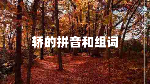 轎的拼音和組詞